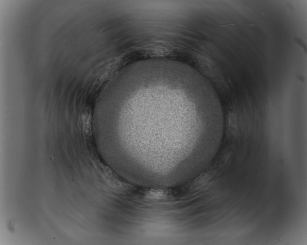 X0000103240177200809111605