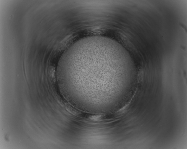 X0000103240178200809111605