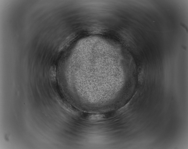 X0000103240179200809111605