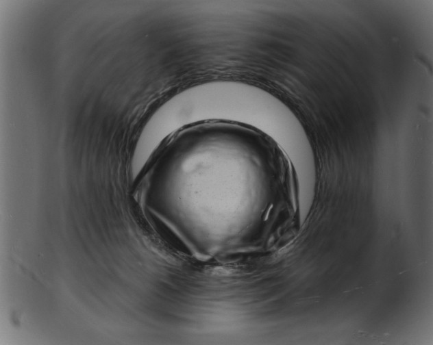 X0000103240180200809111605