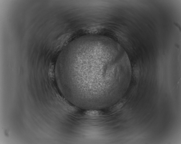 X0000103240181200809111605