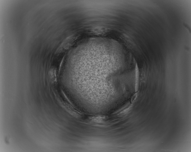 X0000103240182200809111605