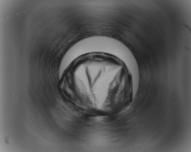 X0000103240184200809111605