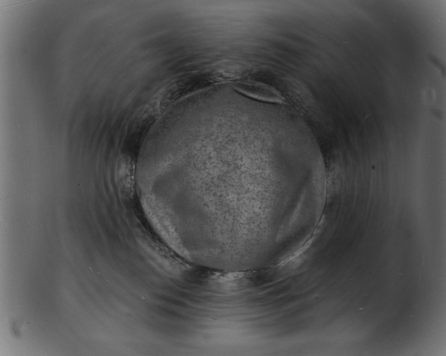 X0000103240186200809111605