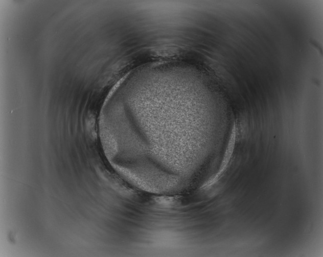 X0000103240187200809111605