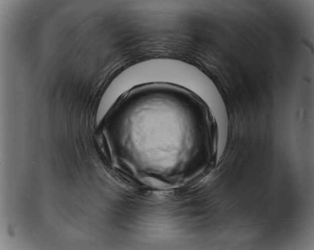 X0000103240188200809111605