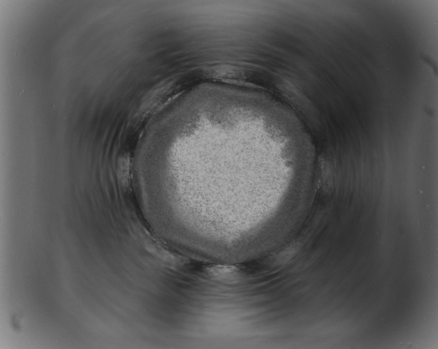 X0000103240189200809111605