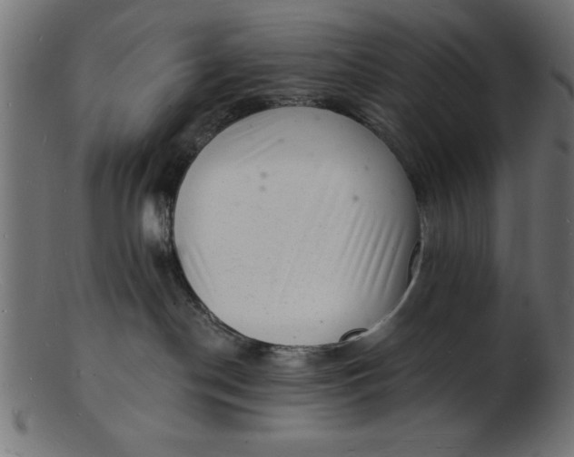 X0000103240190200809111605