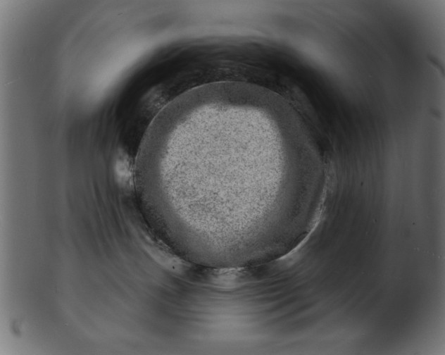 X0000103240191200809111605