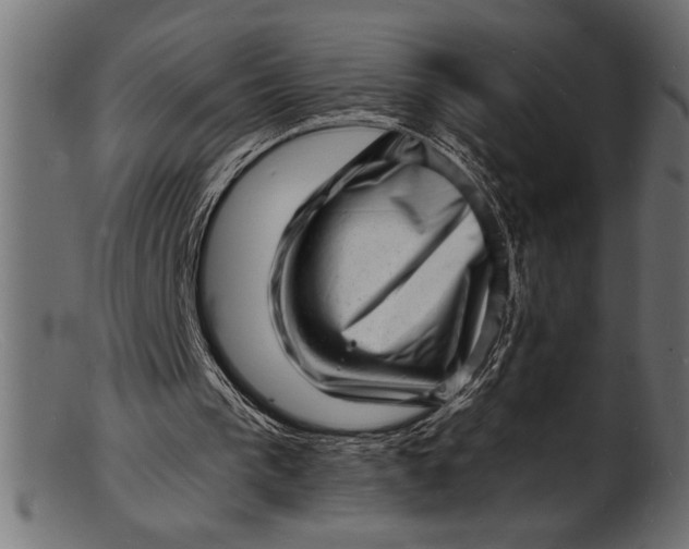 X0000103240193200809111605