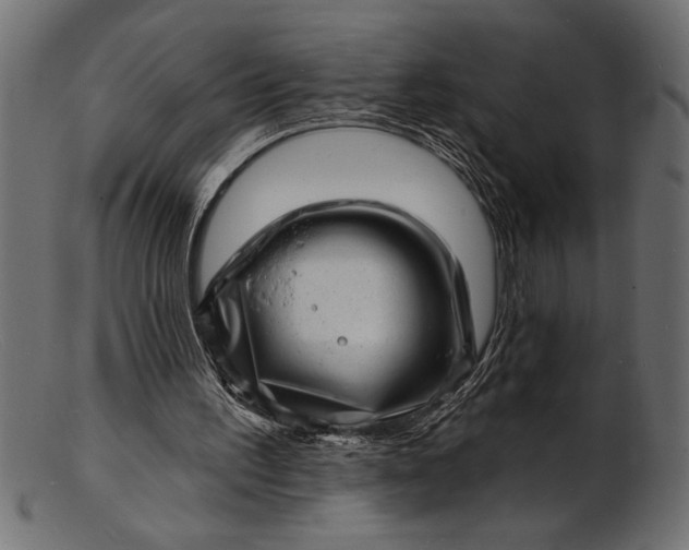 X0000103240195200809111605