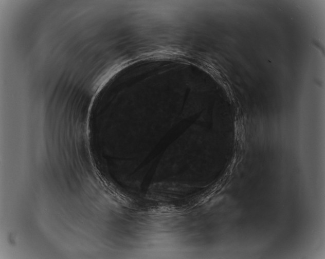 X0000103240196200809111605