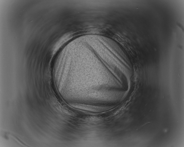 X0000103240198200809111605