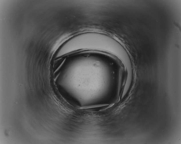 X0000103240199200809111605