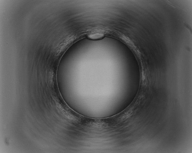 X0000103240201200809111604