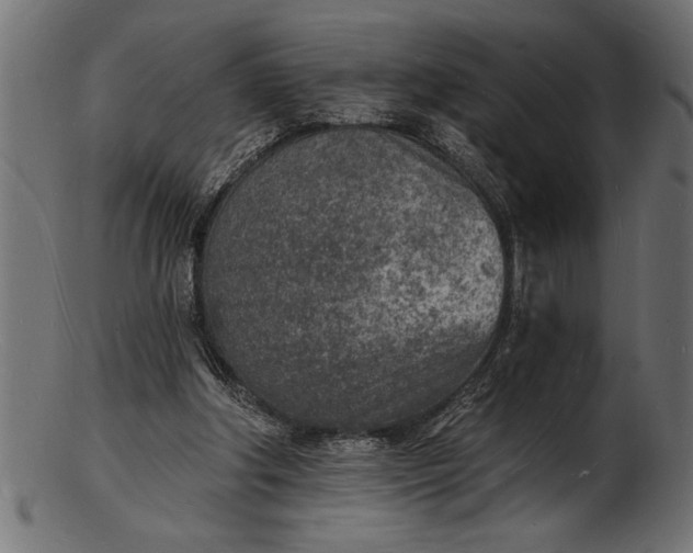 X0000103240202200809111604