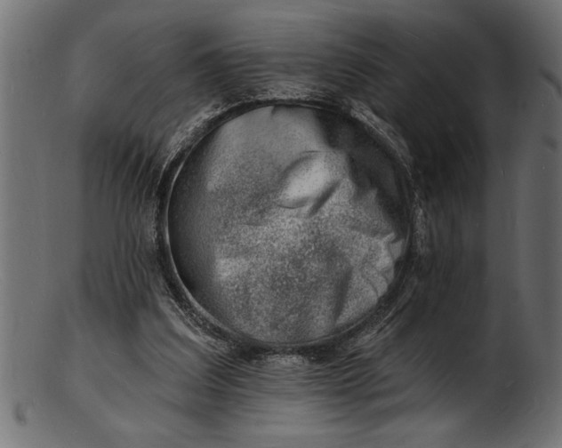 X0000103240203200809111604