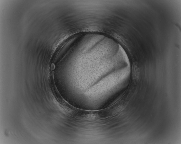 X0000103240204200809111604