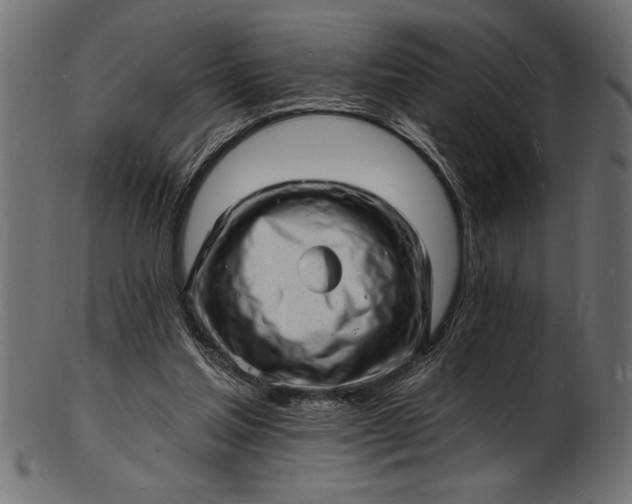 X0000103240205200809111604