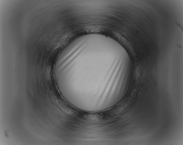 X0000103240209200809111604