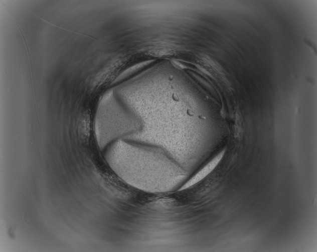 X0000103240210200809111604