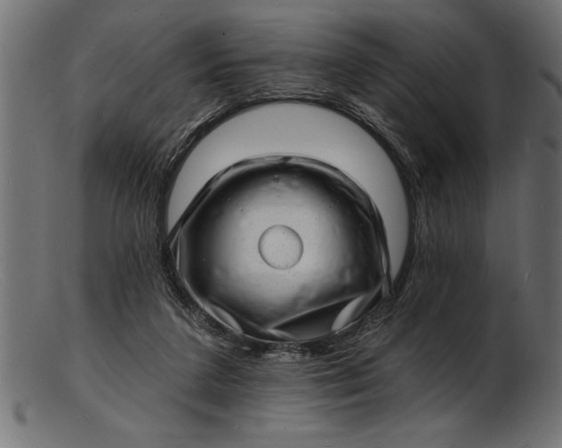 X0000103240211200809111604