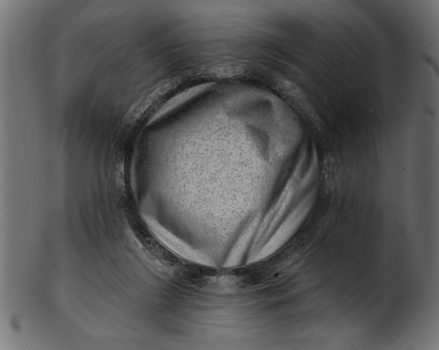 X0000103240212200809111604