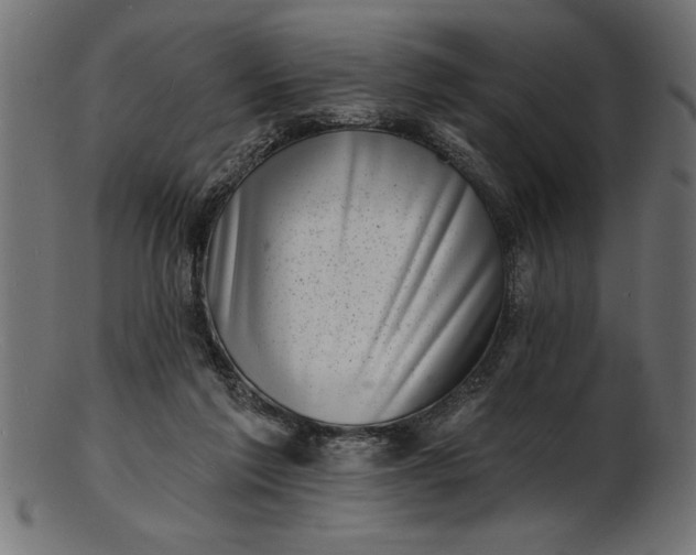 X0000103240213200809111604