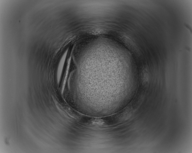 X0000103240214200809111604