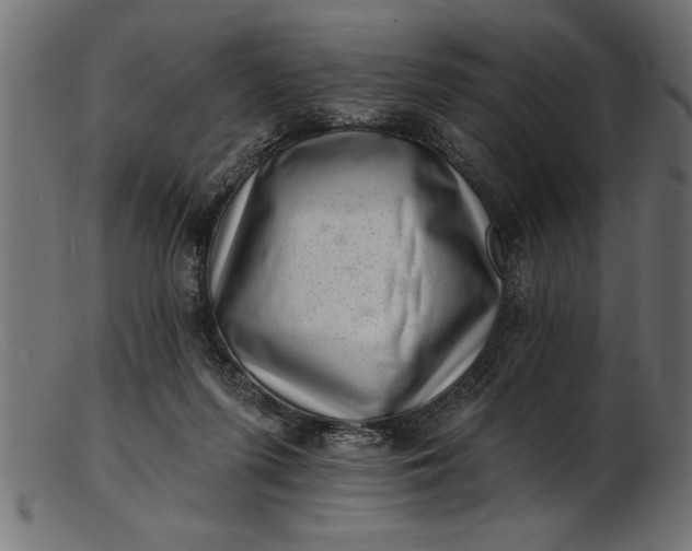 X0000103240215200809111604