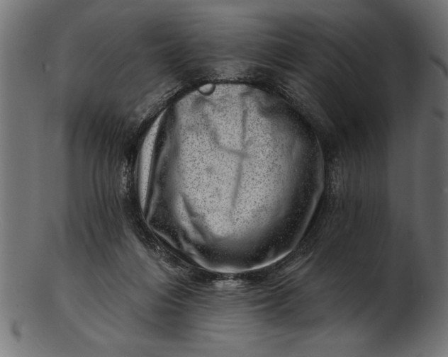 X0000103240216200809111604