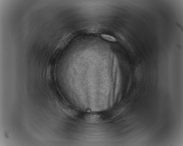 X0000103240217200809111604