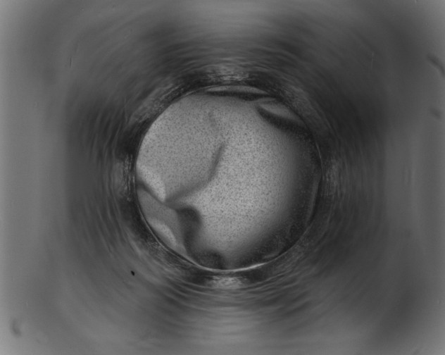 X0000103240218200809111604