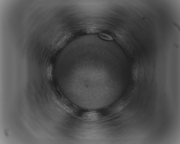 X0000103240219200809111604