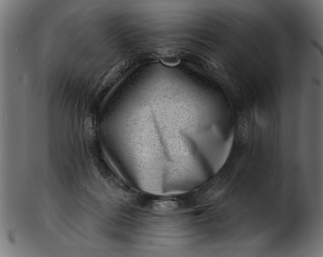 X0000103240220200809111604