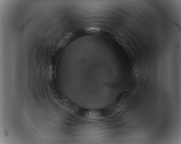 X0000103240223200809111604