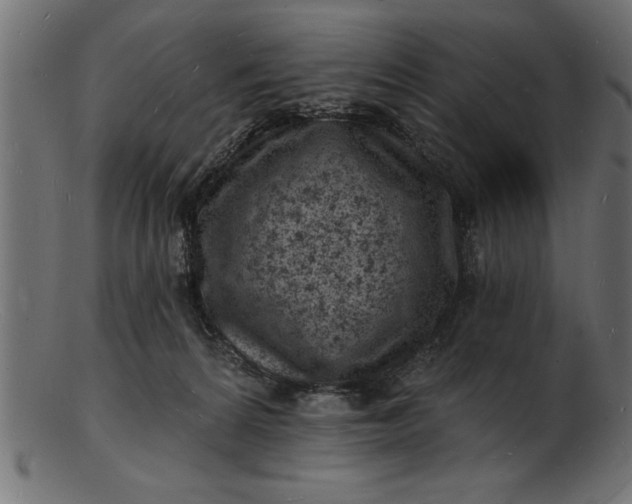 X0000103240224200809111604