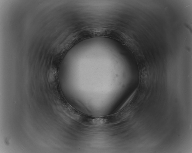 X0000103240225200809111604