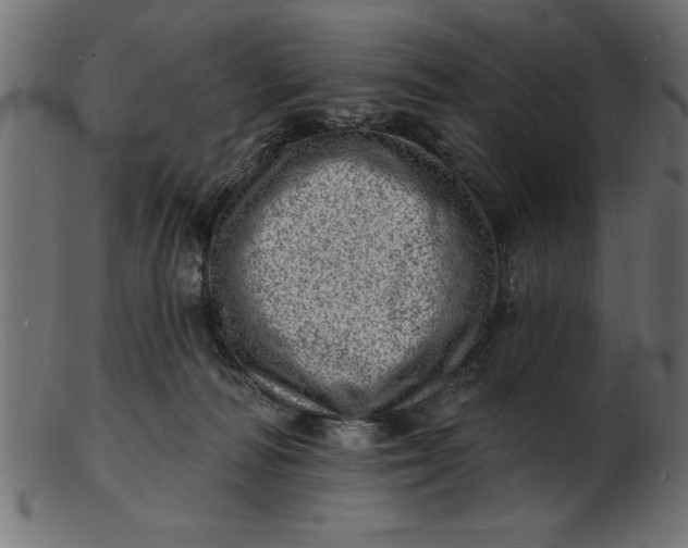 X0000103240226200809111604