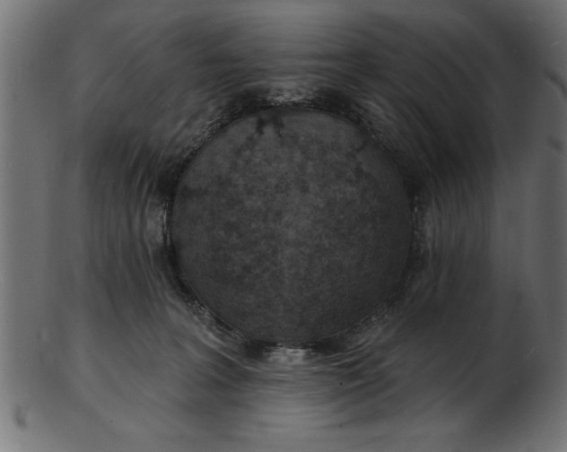 X0000103240227200809111604