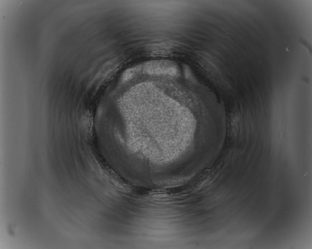 X0000103240228200809111604