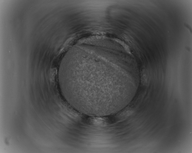 X0000103240229200809111604