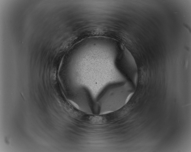 X0000103240230200809111604