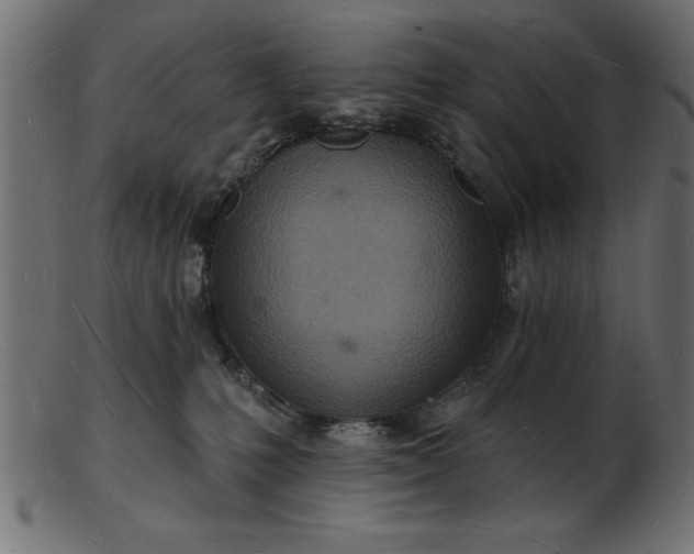 X0000103240231200809111604