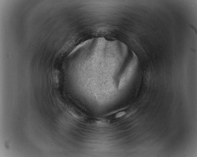 X0000103240232200809111604