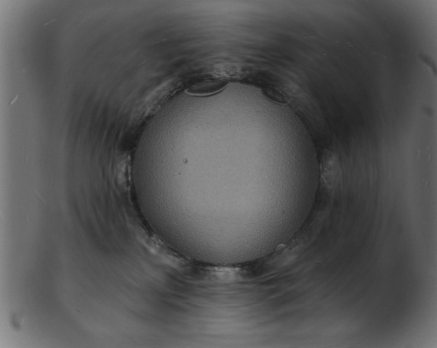 X0000103240233200809111604