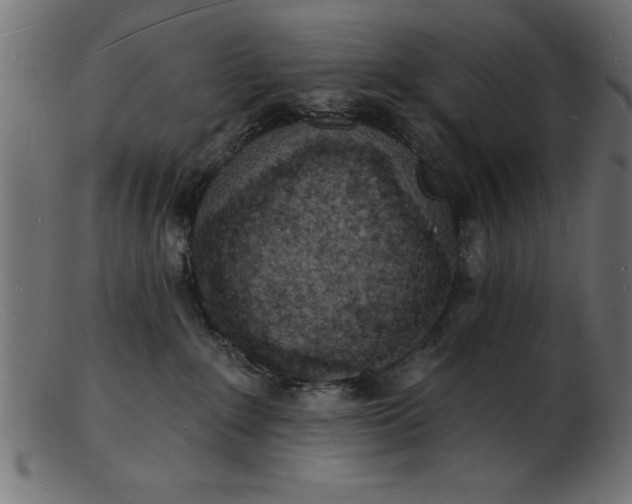 X0000103240235200809111604