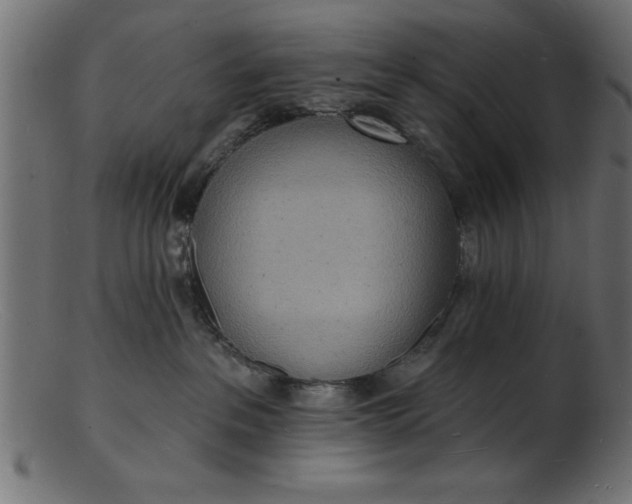 X0000103240237200809111604