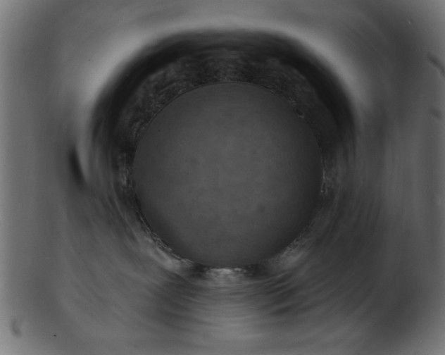 X0000103240239200809111604