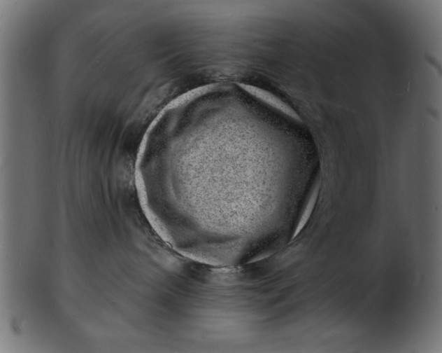 X0000103240240200809111604